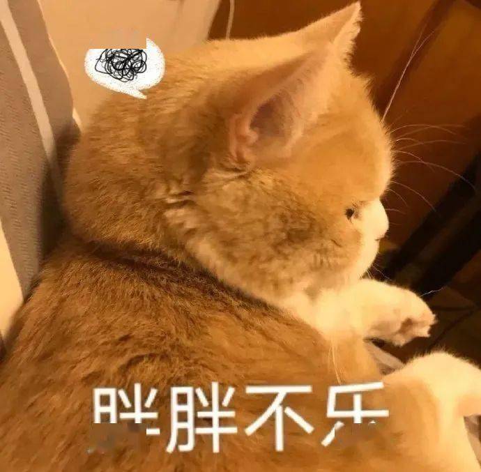又委屈又生气