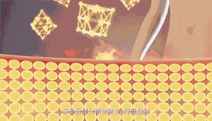 康康|换了条裤子而已，朋友问我最近怎么瘦了5斤？