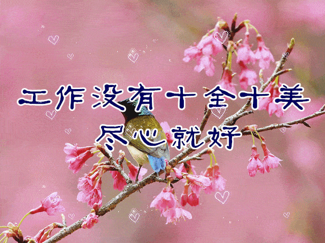 早上好祝福动态图片,太美了!