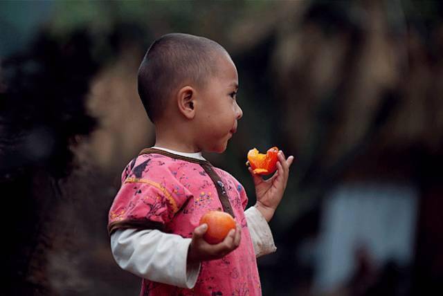 唐人段|柿子红了！柿柿如意！