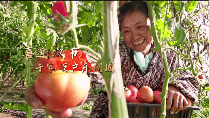 金秋十月,沃野飘香庆丰年; 喜迎双节,千家万户乐团圆; 绿水青山,理想