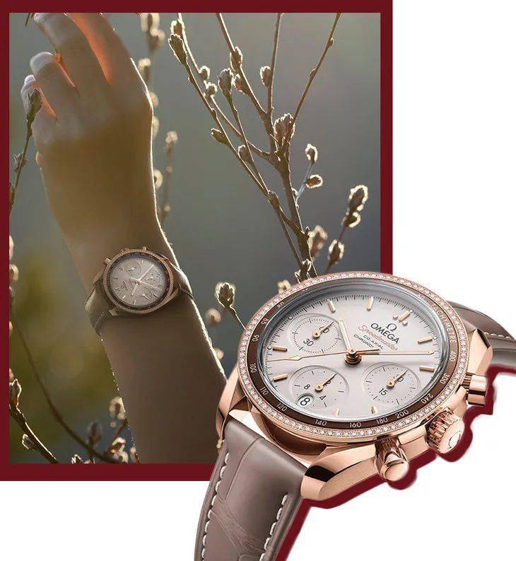 Cartier|江疏影的腕表，《从入门到（因价格而）放弃》