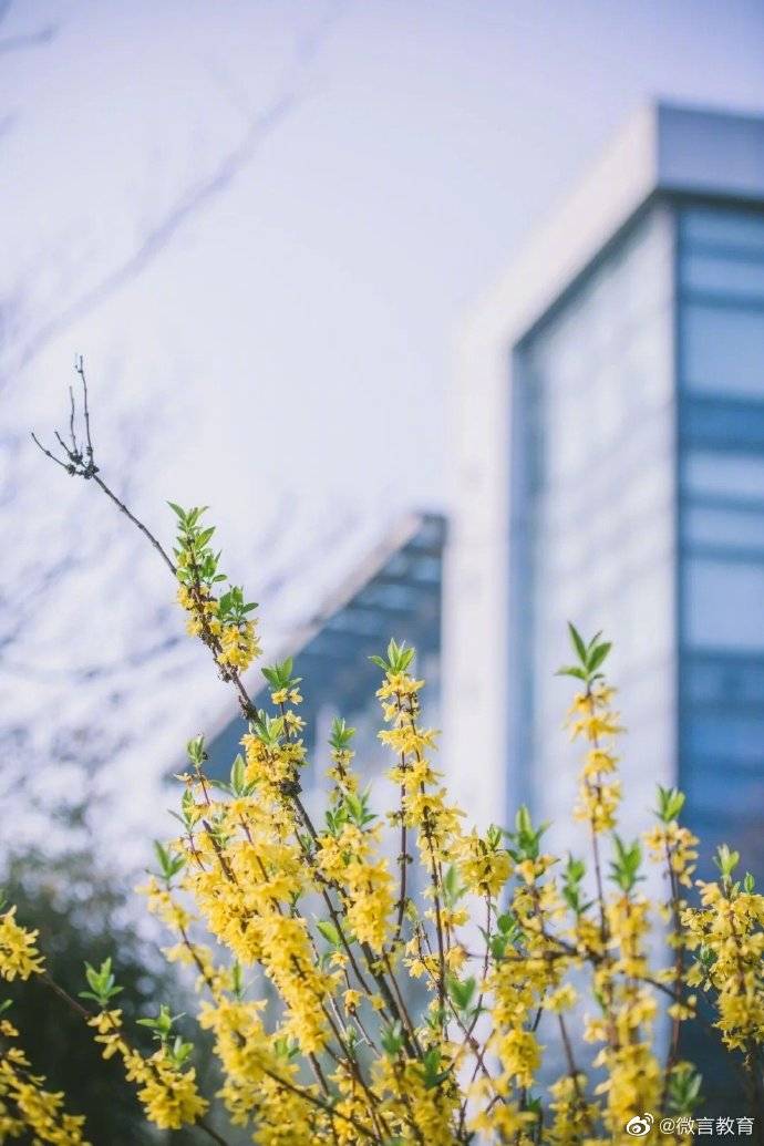 秋景|校园秋景开启，一起来看