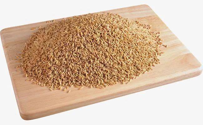 盆中|赶紧试试吧！还在为秋钓鲫鱼的饵料发愁？一大波配方来啦