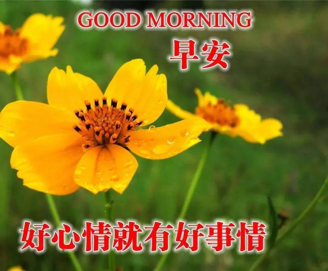 ff26cb6fe22a45d39adb0ab1335b5436.jpeg