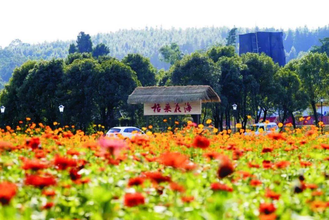 2016年,下保村引进民间资本,成立新余市鼎山文化旅游开发有限公司.