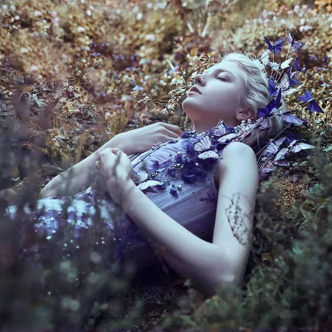 女孩|她用鲜花打造出如梦般的童话世界 让无数女孩实现仙女梦