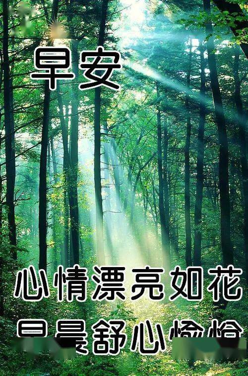 10月11日最漂亮早上好动态表情图片大全,早晨好动图美图大全