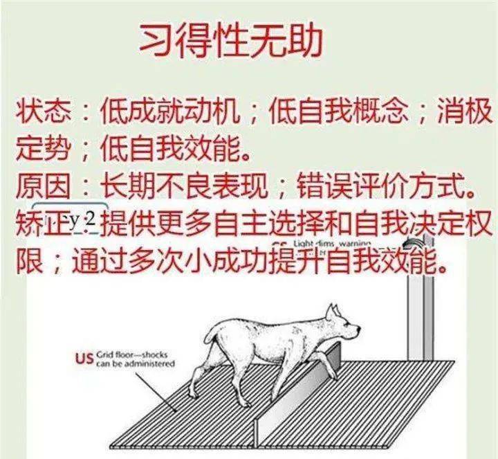 孩子有一种"笨,叫做"习得性无助,源于家长的教育方式_手机搜狐网