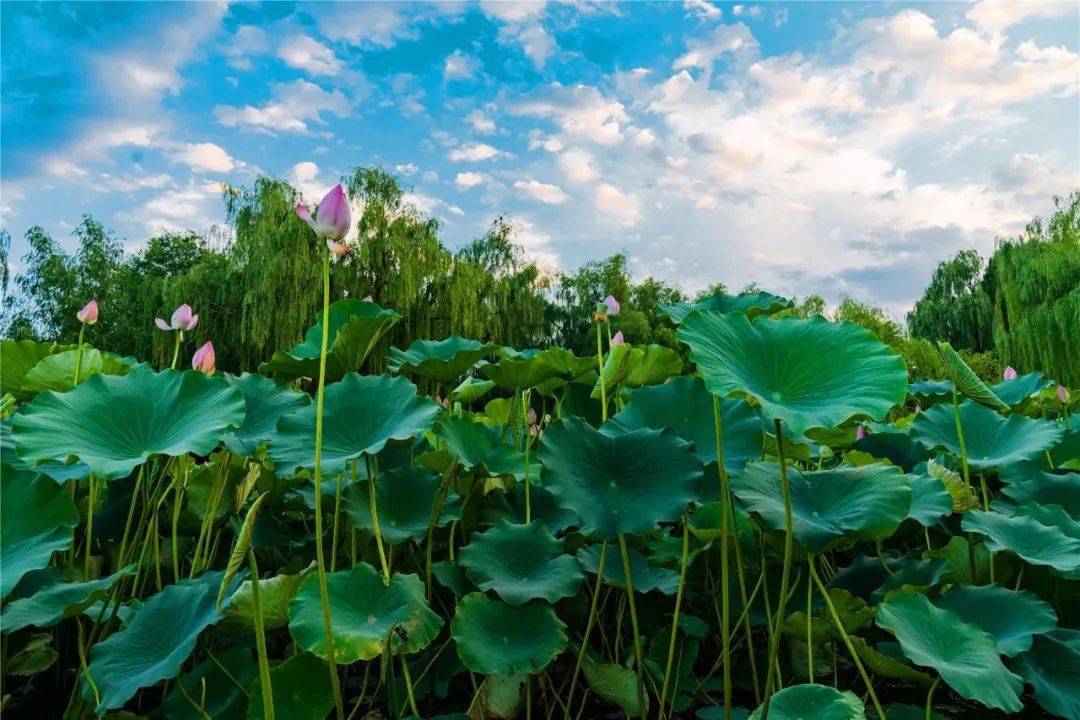 新老照片曝光：见证西城71年沧桑巨变！-搜狐大视野-搜狐新闻