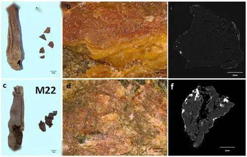 古人|与古人“对话”的考古学者:古人如何做奶酪、画红妆?