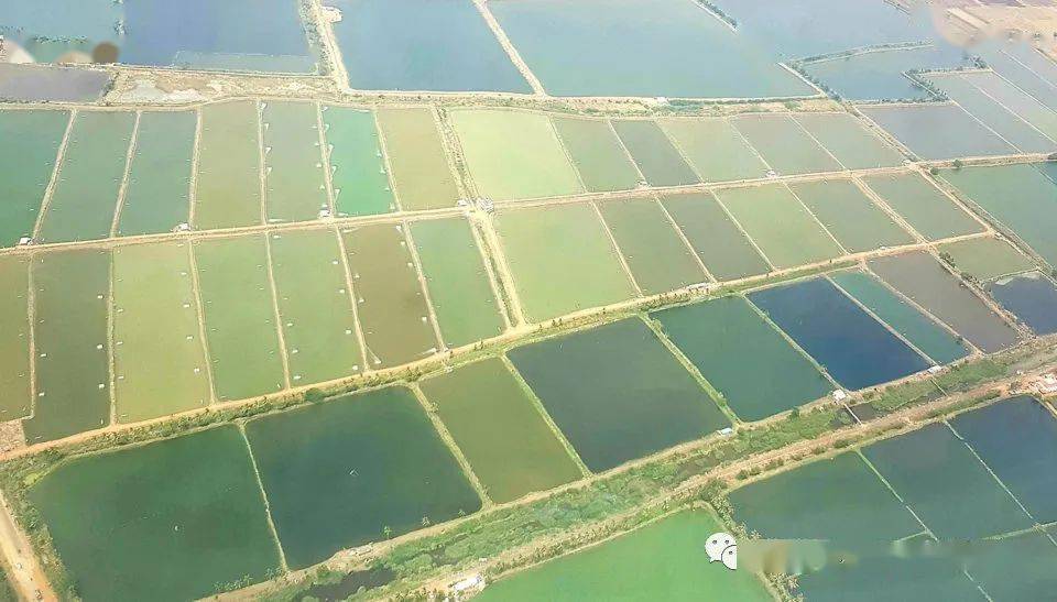 水产养殖排名_水产养殖图片(3)