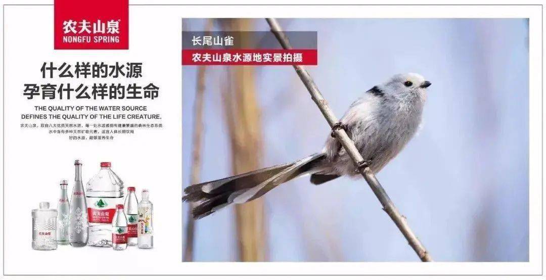 设计|一流的包装设计，「农夫山泉」可能是家被卖水耽误的广告公司