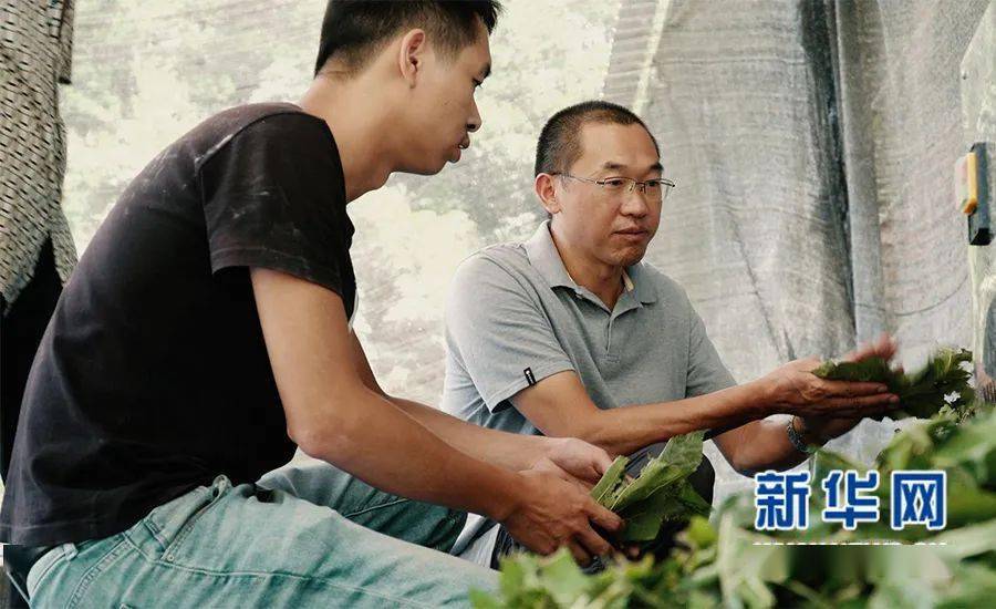 可为。”肖鸣笑着说，如今他已从昔日“打工仔”变成了创业“小老板”。 肖鸣到桑蚕基地了解李小洪养蚕的情