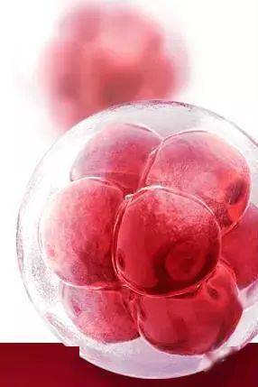 肌肤|这些无限回购的自用好物，第一款好用到哭！