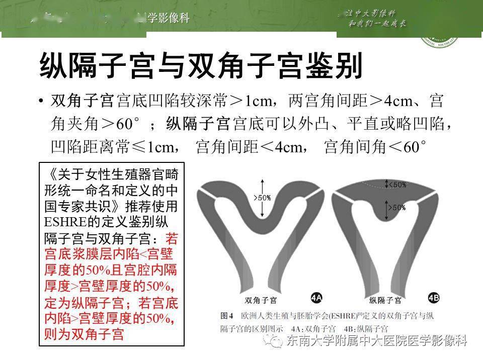 3e6d24bcd9e64680977a24a7b88a532a.jpeg
