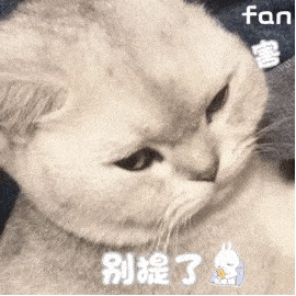 近期热图,聊天斗图表情精选!