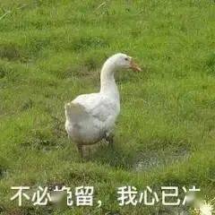 眉毛|跟着抖音学化妆的女生，到底有多惨？