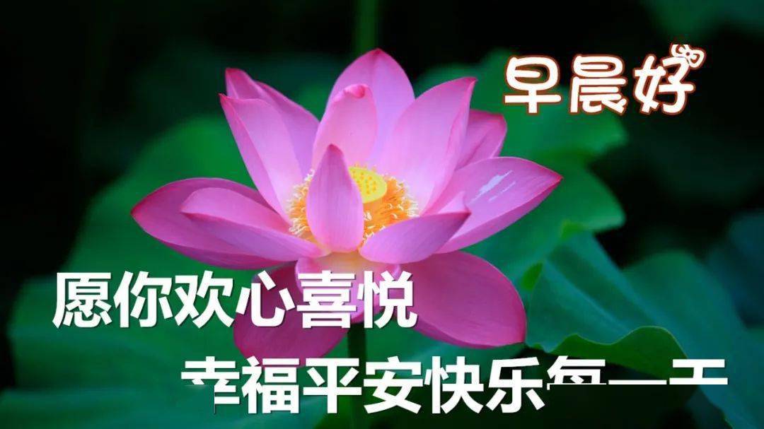 524ca03ce2ed459dae41c74798070073.jpeg