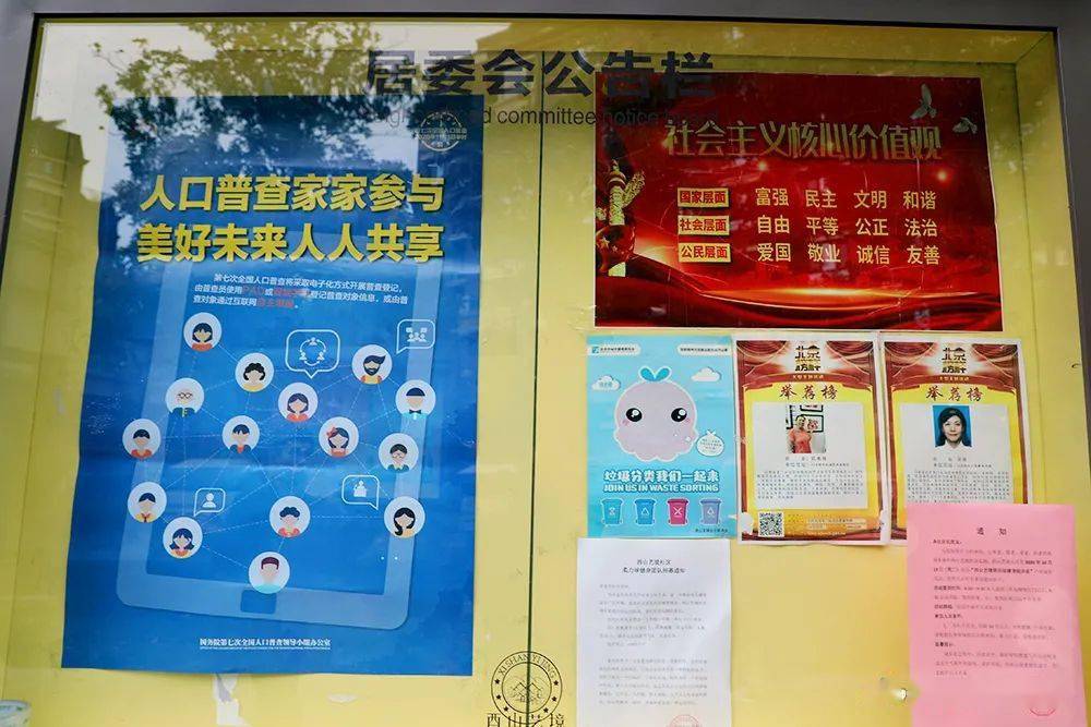 人口普查摸底工作保密_人口普查(2)