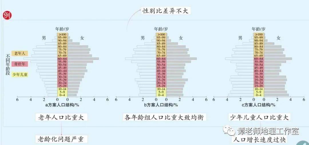 日本的人口金字塔演化分析_食物金字塔(3)