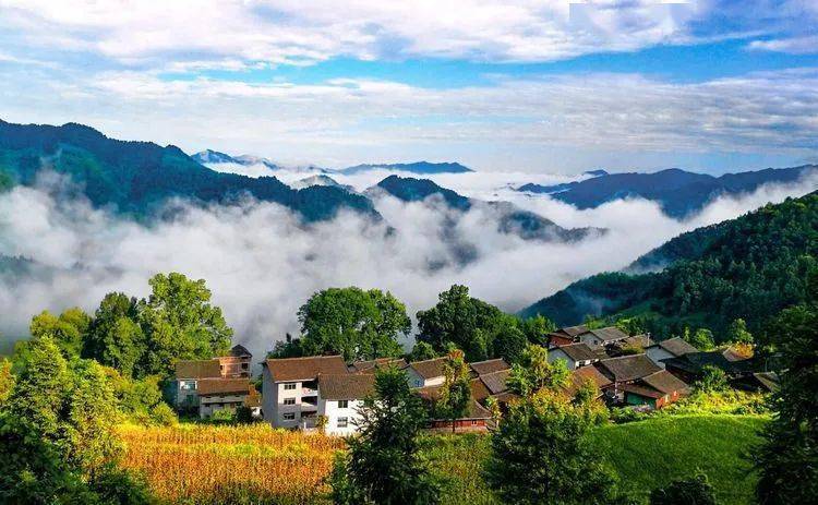 剑河县有多少人口_130余名探险 攀爬爱好者探秘剑河百里原始森林