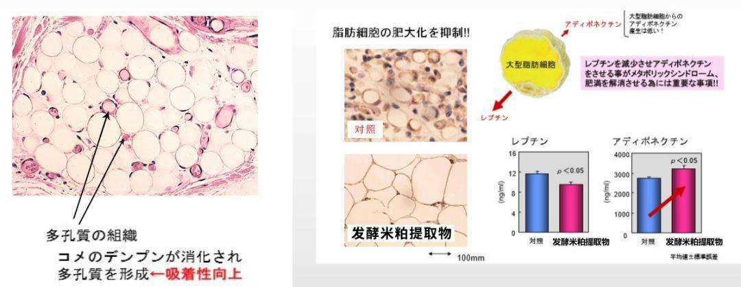 体重|2020女性标准体重是多少？看完我决定减肥了