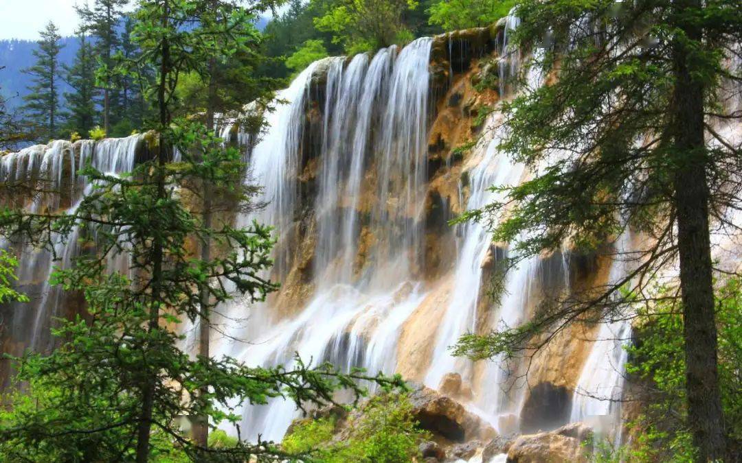 的自然保护区,也是中国著名风景名胜区和全国文明风景旅游区示范点,被