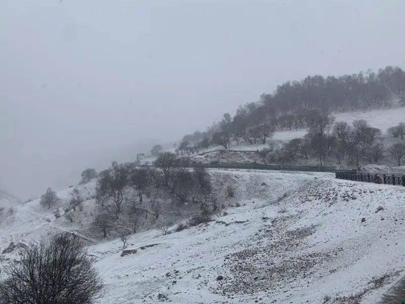 最新这里下雪了难怪安康这么冷的