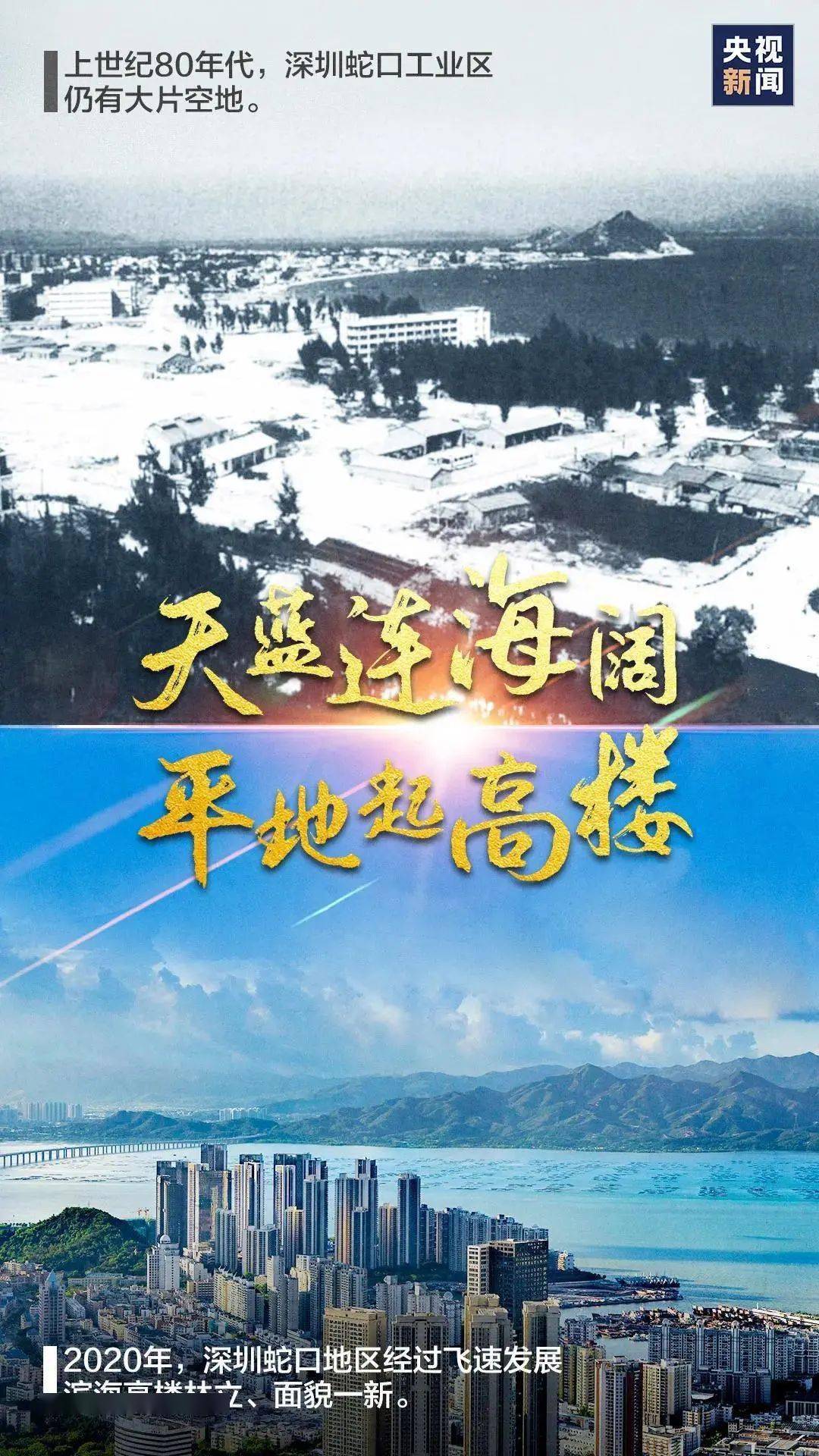 四十年人口_2020年人口普查图片(3)
