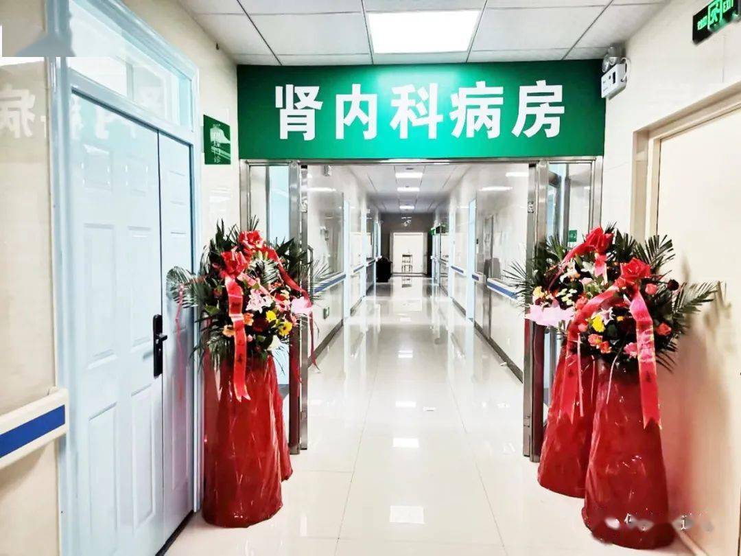 扬帆|【科室风采】扬帆起航 创造新辉煌——大庆市第四医院肾内科