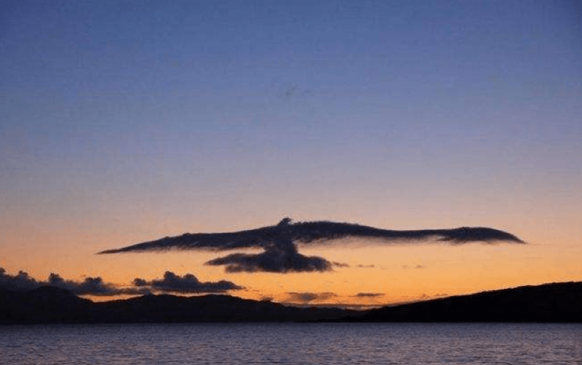 偶然|历史选择了深圳，绝非偶然丨经济特区40年