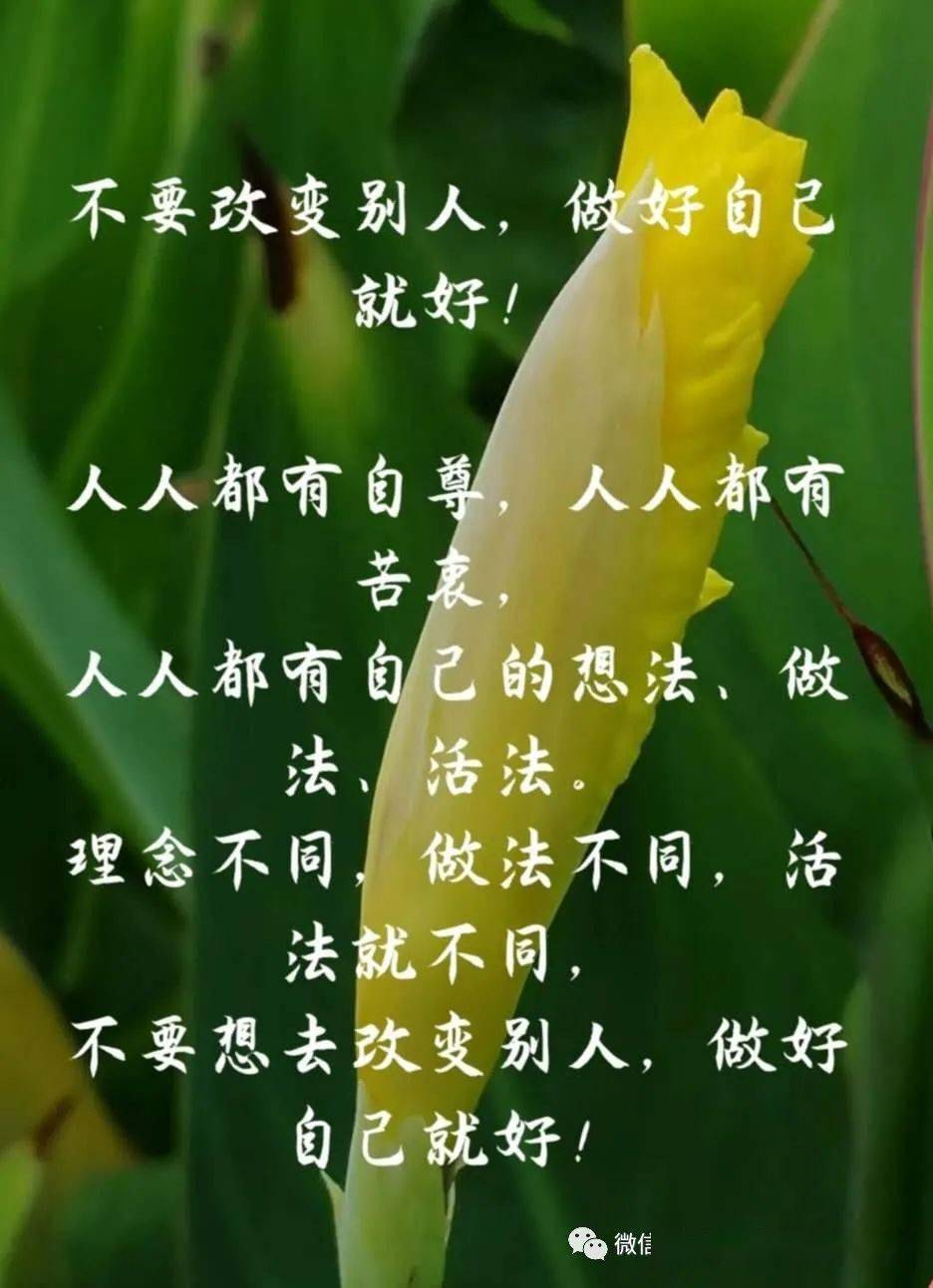 人与人相处,真诚最重要