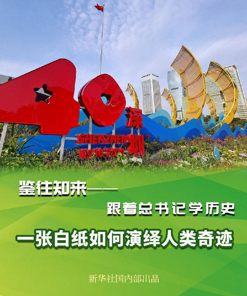 买了一张回家的机票猜成语_买好机票回家过年图片(3)