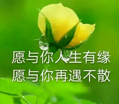 人生有缘,再遇不散!