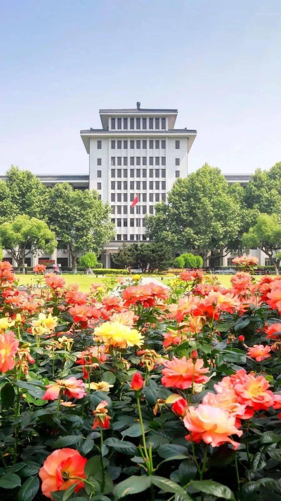 公众|终于被做成手机壁纸了!【理想大学】你的理想大学
