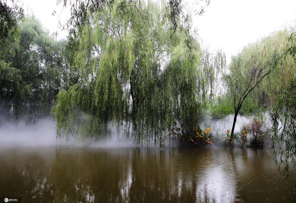 郑州植物园雾森系统宛如仙境 成网红“打卡地”