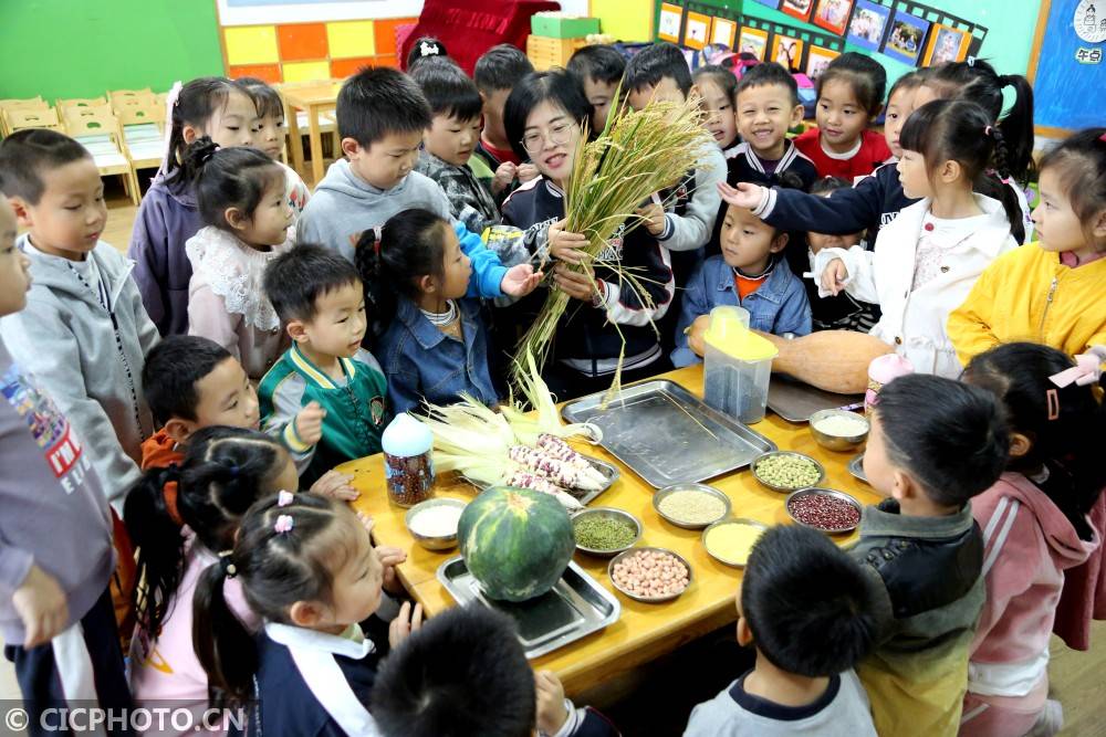 江苏省|世界粮食日|珍惜粮食 从我做起