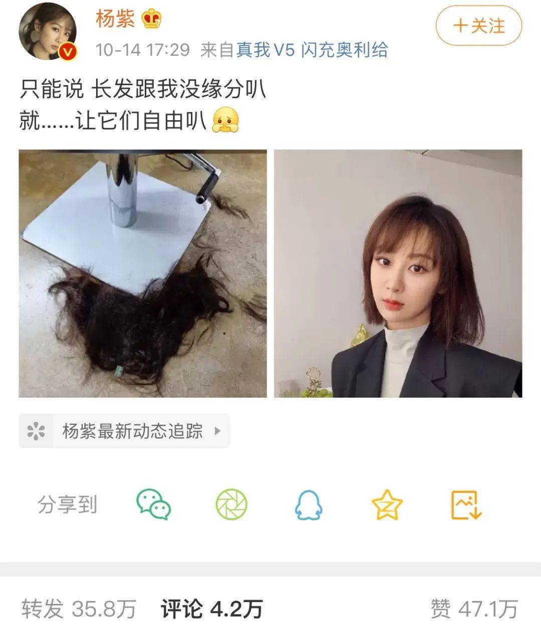 造型|感谢大家 又有短发新思路了!