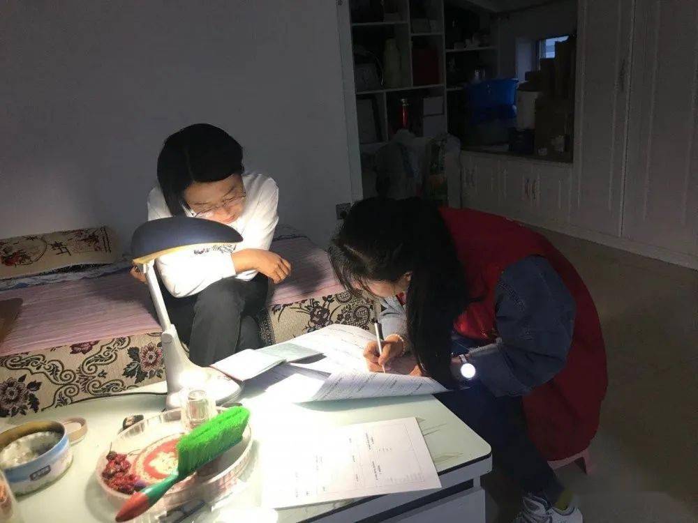 人口普查员入户登记_人口普查员证件图片