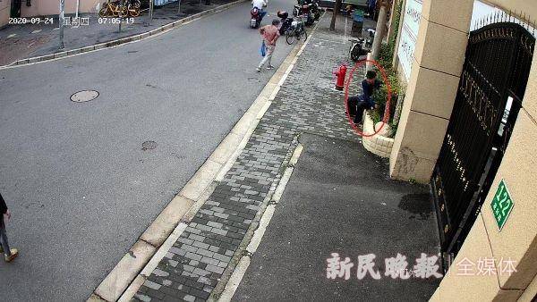 为送礼，“识货”男子盗取路边花坛铁树茶梅
