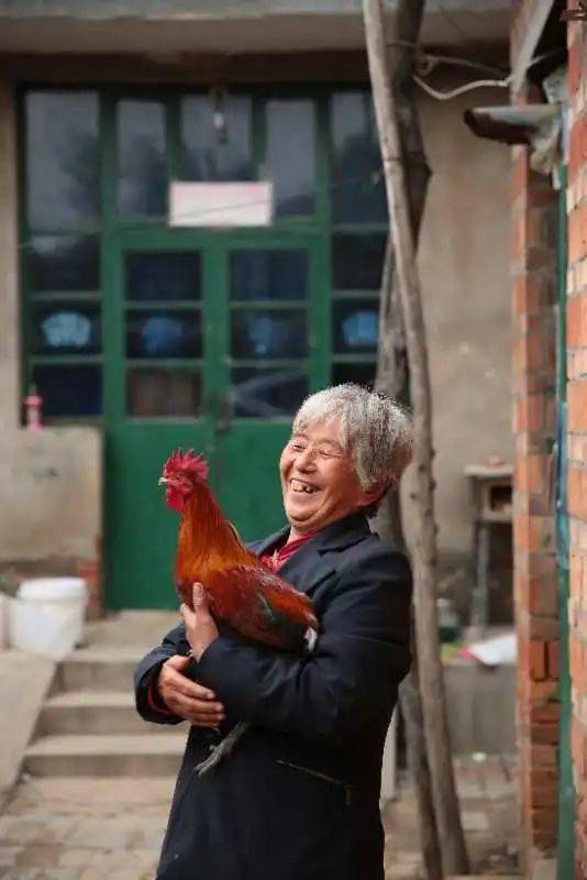 扶贫|京东的跑步鸡 ，跑出了一个自有扶贫品牌矩阵