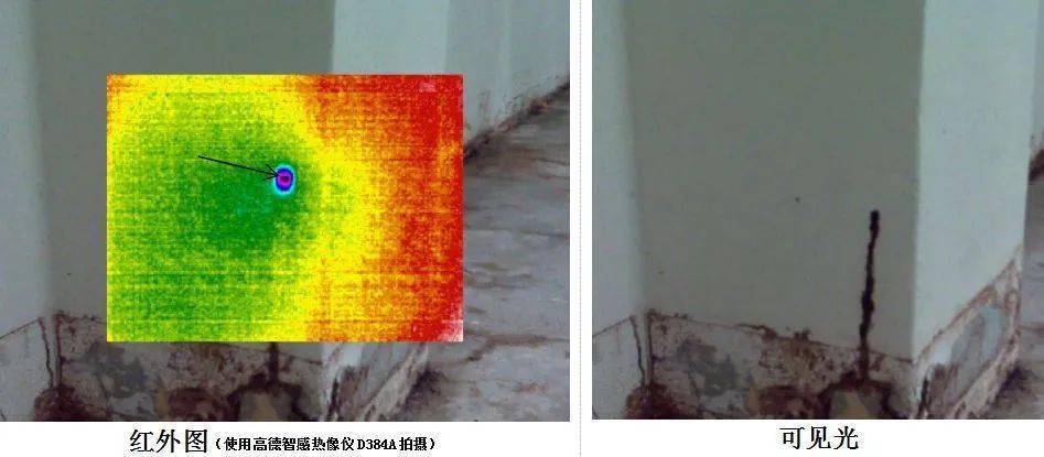 高德智感红外热像仪在防治白蚁中的实地应用
