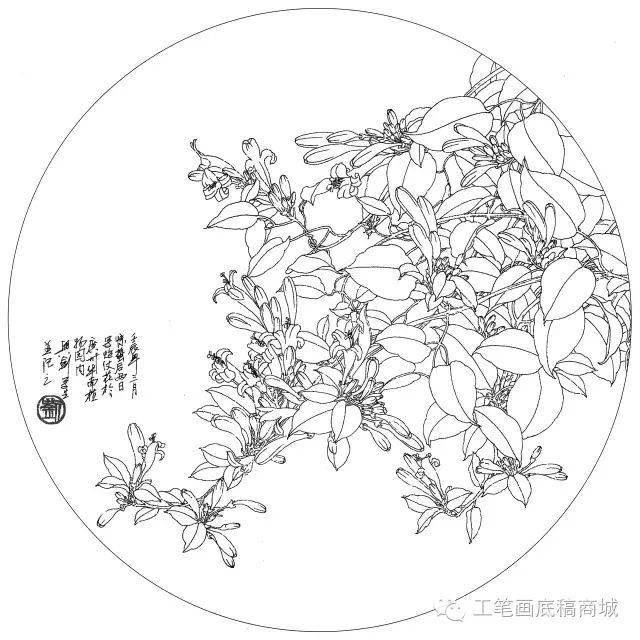 炮仗花软枝黄蝉四季海棠天竺葵向日葵绣球一串红银钟花虞美人玉兰月季