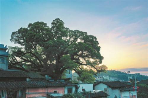 村落|多元文化交织 孕育古风村落