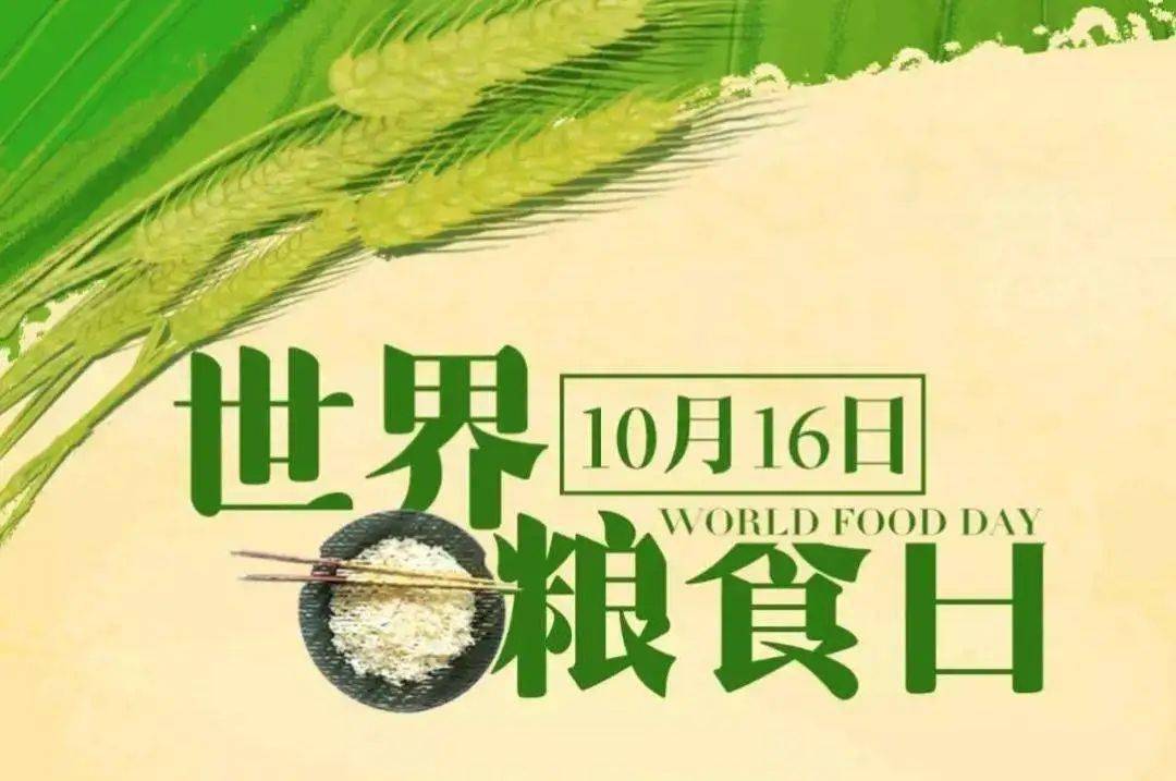 世界粮食日齐成长同繁荣共持续行动造就未来