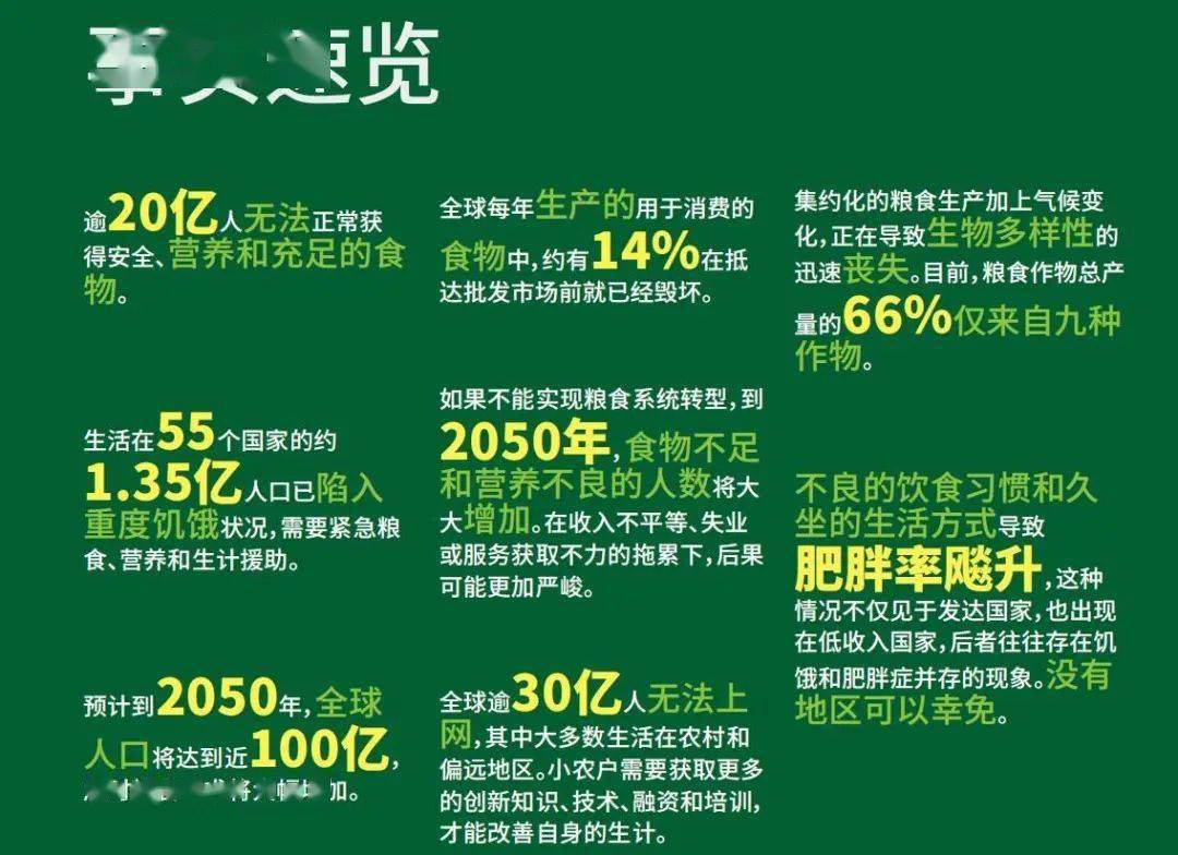 全球饥饿人口_今年全球饥饿人口突破10亿 创40年最高(2)