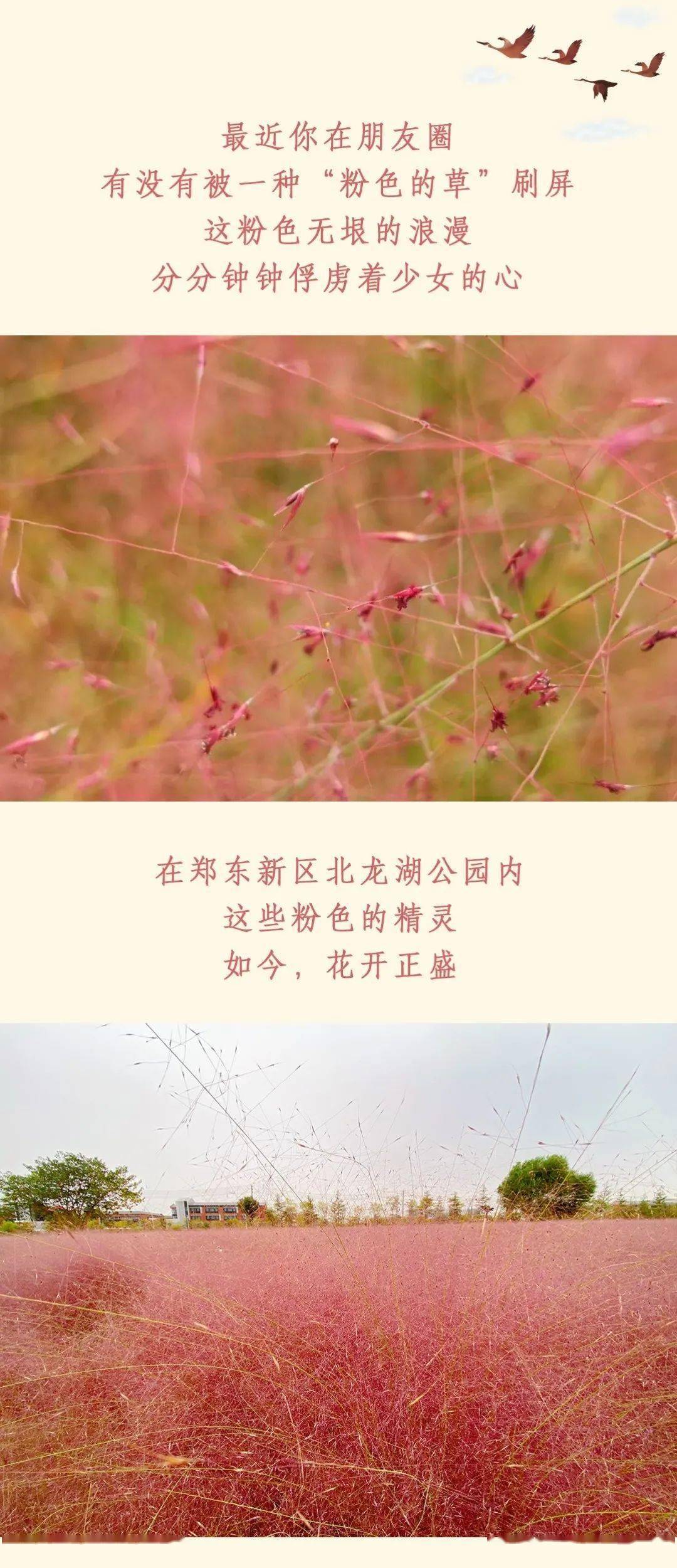 粉雾海简谱_易烊千玺粉雾海简谱
