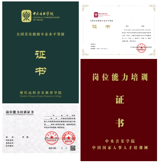 11月1820日琵琶课程▏央音全国音乐教师岗位能力等级培训开始报名啦