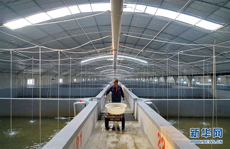 近年来,河北省滦南县将现代渔业作为富民强县的重要产业,按照"龙头